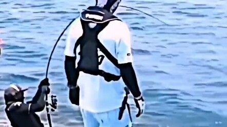 Angler: Holy crap, it’s a monster! Diver: F*** me… #Don’tTryThisAtHome