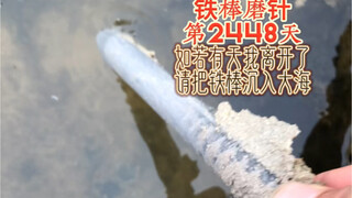 يوم صقل الإبرة بالقضيب الحديدي رقم 2448