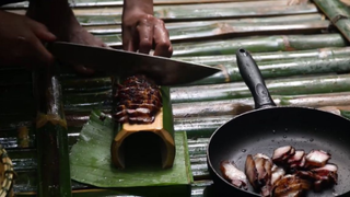 Chế Tạo Dụng Cụ Kiếm Mồi Trong Rừng - Không Thể Chết Đói