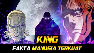 FAKTA MANUSIA TERKUAT KING ONE PUNCH MAN!!!