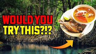Rio Dulce Boat Trip Exploring Lake Izabal & Trying Tapado Soup!! 🇬🇹