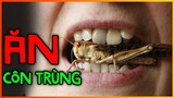 Điều Gì Xảy Ra Nếu Bạn Chỉ Ăn Côn Trùng Trong Suốt Phần Đời Còn Lại Của Mình