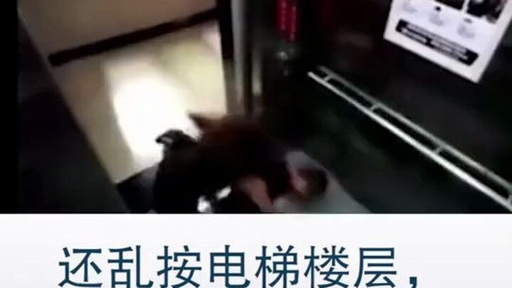 熊孩子电梯捣乱，女子抱摔教他做人