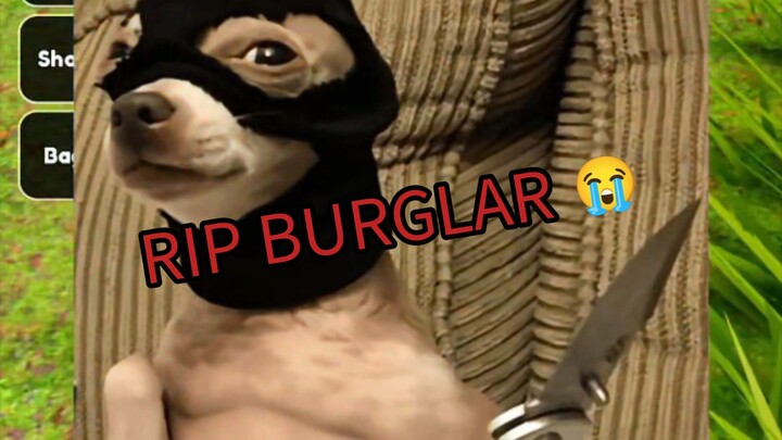 RIP BURGLAR 😭