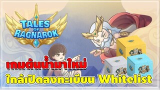 เกม NFT ต้นน้ำ แจก Airdrop ตัวละคร เตรียมเปิดลงทะเบียน Whitelist เร็วๆนี้ | Tales of Ragnarok