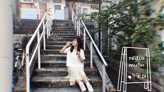 #2 /RADIO MUỘN/ "EM CHÁN NẢN VỚI NGÀNH HỌC ĐÃ CHỌN..." l Gokku Egao