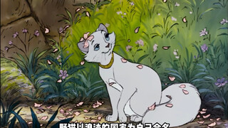 女伯爵将千万遗产留给猫咪