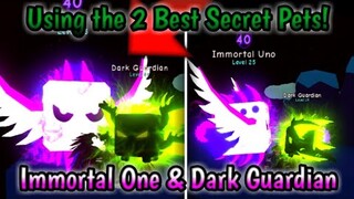 I Got the *BEST PETS* IMMORTAL ONE & DARK GUARDIAN in Bubblegum Simulator! (Roblox)