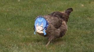 Star Street Hen