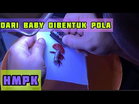 SALON DULU BIAR GEDENYA RAPIH