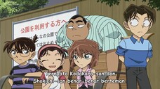 Detective Conan Episode 1134 Sub Indo