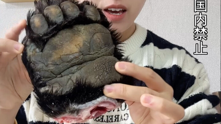 Recently, bears in Japan have been quite aggressive, huh?