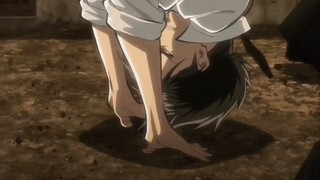levi