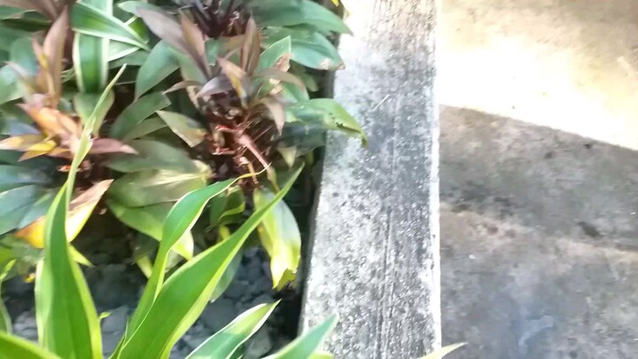 come to the heart ep 2