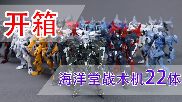 【一起来开箱】MUV-LUV 海洋堂 转轮科技 战术机22体