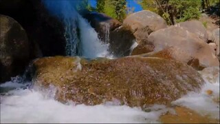 10,000 Reasons Best Christian Songs 2025 Heavenly Worship Songs to Lift Your Spi