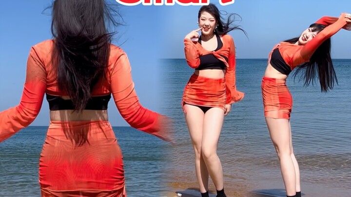 【Tiểu Ngọc Nhi Mưa】Biển cả là liều thuốc tốt nhất để chữa lành mọi thứ, vậy còn tôi thì sao? -LE SSE