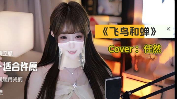 Versi Cover Menenangkan “Burung dan Jangkrik” [Zhao Cai Xiao Kaka]