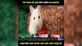 Humster chamn vào nút là nất luôn Triệu Đô | LT Review