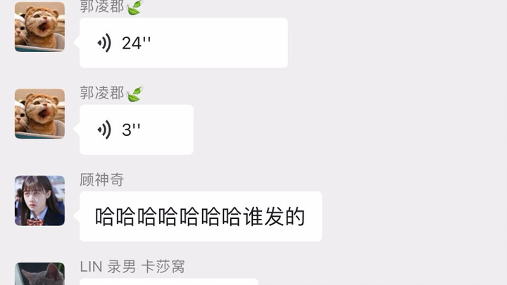 ฟีดเต็มหน้าจอ