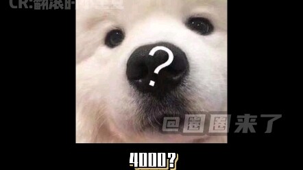 Đây là đi tấn công Truy Bác à?