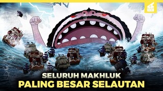 TERLALU BESAR!! Inilah Peringkat Seluruh Makhluk dengan Ukuran Terbesar Selautan One Piece