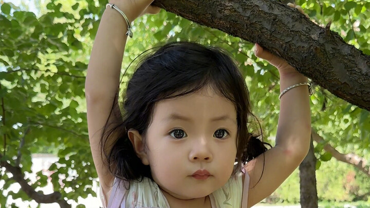 Đừng dại mà làm con gái giận, chỉ cần cãi nhau một câu là treo lên cây ngay 😂