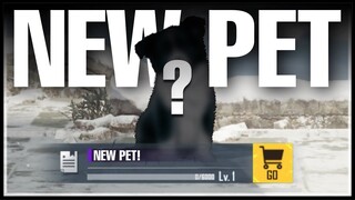 Gameplay with New Companion🐶🐶🐶 | PUBG MOBILE