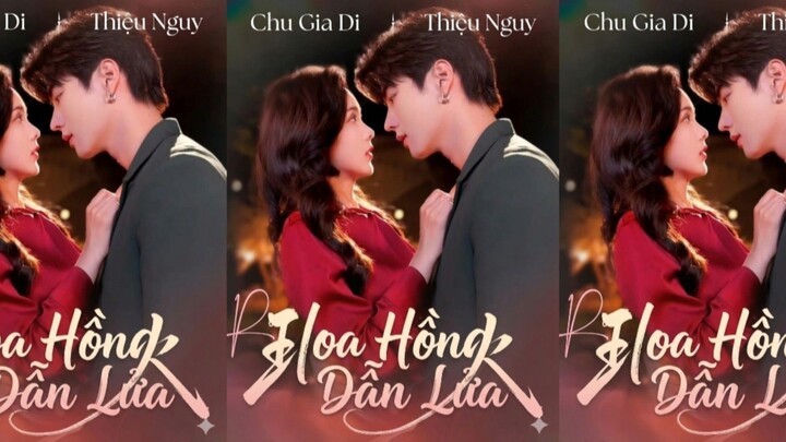 TRỌN BỘ - HOA HỒNG DẪN LỬA ( Thiệu Nguy , Chu Gia Di )