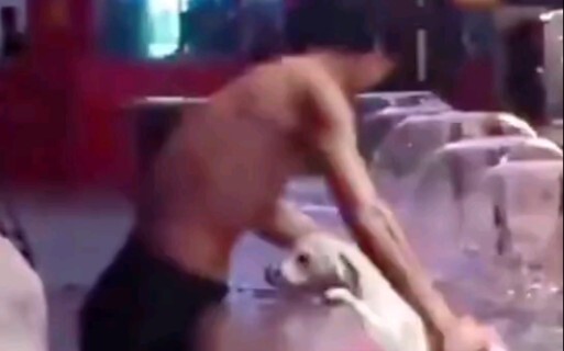 เขาเป็นคนไร้บ้าน สุนัขของเขาไม่ใช่สุนัขจรจัด
