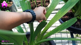 LUYỆN KIẾM Cho Thân Thủ PHI PHÀM | Chia sẻ của NGUYỄN NGỌC HÀ #Sanhoalan