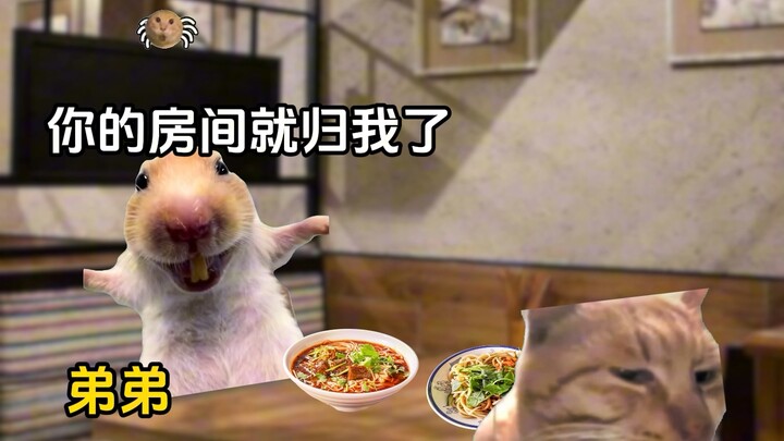 Khi em trai biết chị gái sắp kết hôn #Tiểu kịch meme về mèo #Anh chị em #Giả lập chân thực #Hài hước