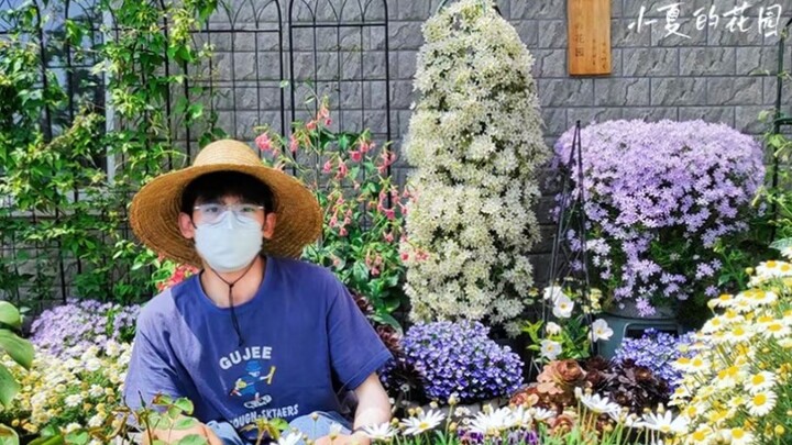A Flower-Loving Guy’s Gardening Highlights – Casual Snapshots Compiled into a Stunning Garden Epic!