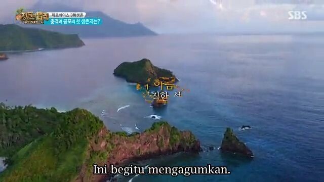 Law.of.the.Jungle.E247.360p