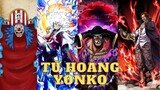 Tứ Hoàng Mới Trong One Piece | Luffy, Shanks, Buggy, Râu Đen | LDV Anime