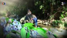 เพลิงฉิมพลี Ep 15 (ตอนจบ)