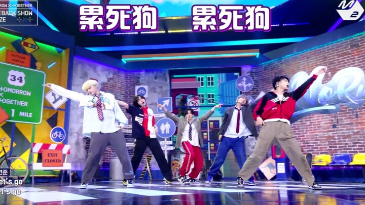 【TXT|Nghe nhầm】Không có quy tắc | Chó: Tôi thực sự mệt rồi