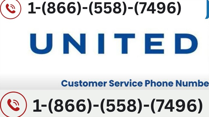 1O Best Ways to Connect with United Airlines Customer Service via Phone Full Guide