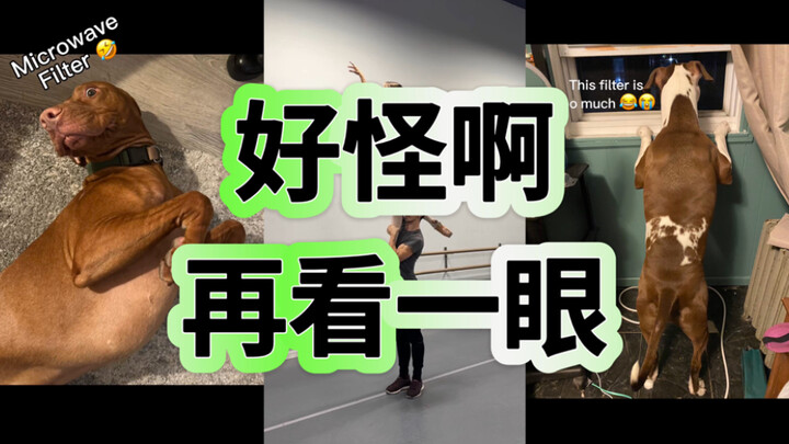 Microwave… Strange Creature… Episode 3…