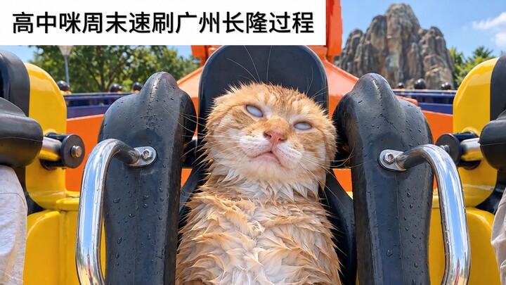 Quá trình cày nhanh Quảng Châu Trường Lung vào cuối tuần thời cấp ba