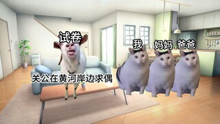 【Cat Meme】Teachers' and Parents' Daily Grading Routine (My Mom's Request Version)