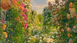 “可爱鬼，请你看花～”