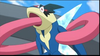 Greninja, Mari Mendaki ke Puncak yang Tak Ada Seorang pun yang Tahu!