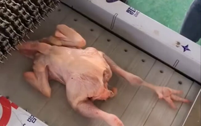 Can’t the meat-mincing machine work without human heads?