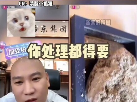 Wait, are you seriously saying this piece of junk rock is worth over eight million?