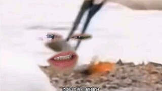鱼：我犯天条了？