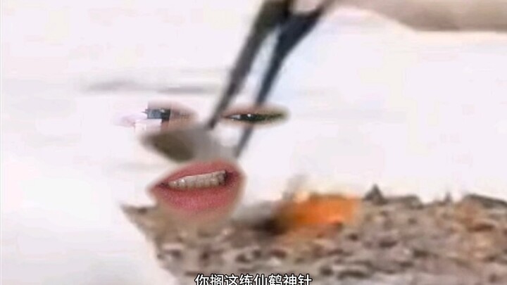Fish: Have I violated the law?