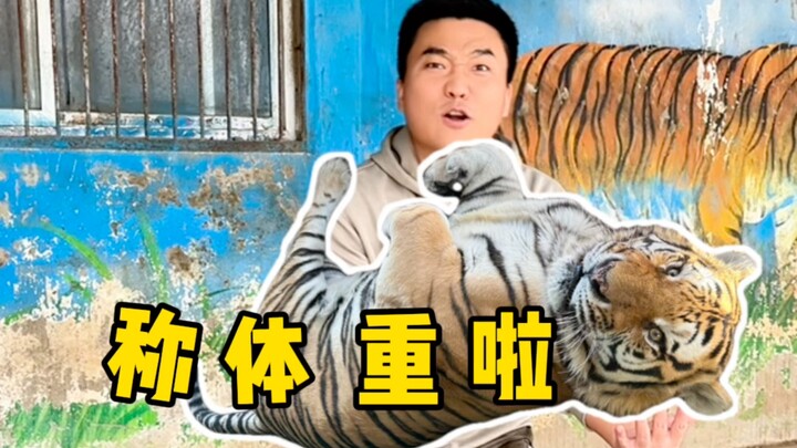 Peringkat pertama benar-benar terlalu kuat!