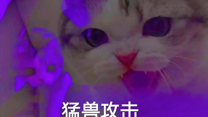 คิตตี้วันฮาโลวีนสุดหลอน ร่วมแสดงฉาก “น่ากลัวมาก ฮือออ”