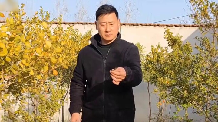 "Liuyue" picked up willow branches to make professional musical instruments. It is the first unique 